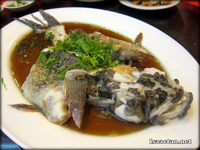 Steamed Bamboo Fish with Soya Sauce