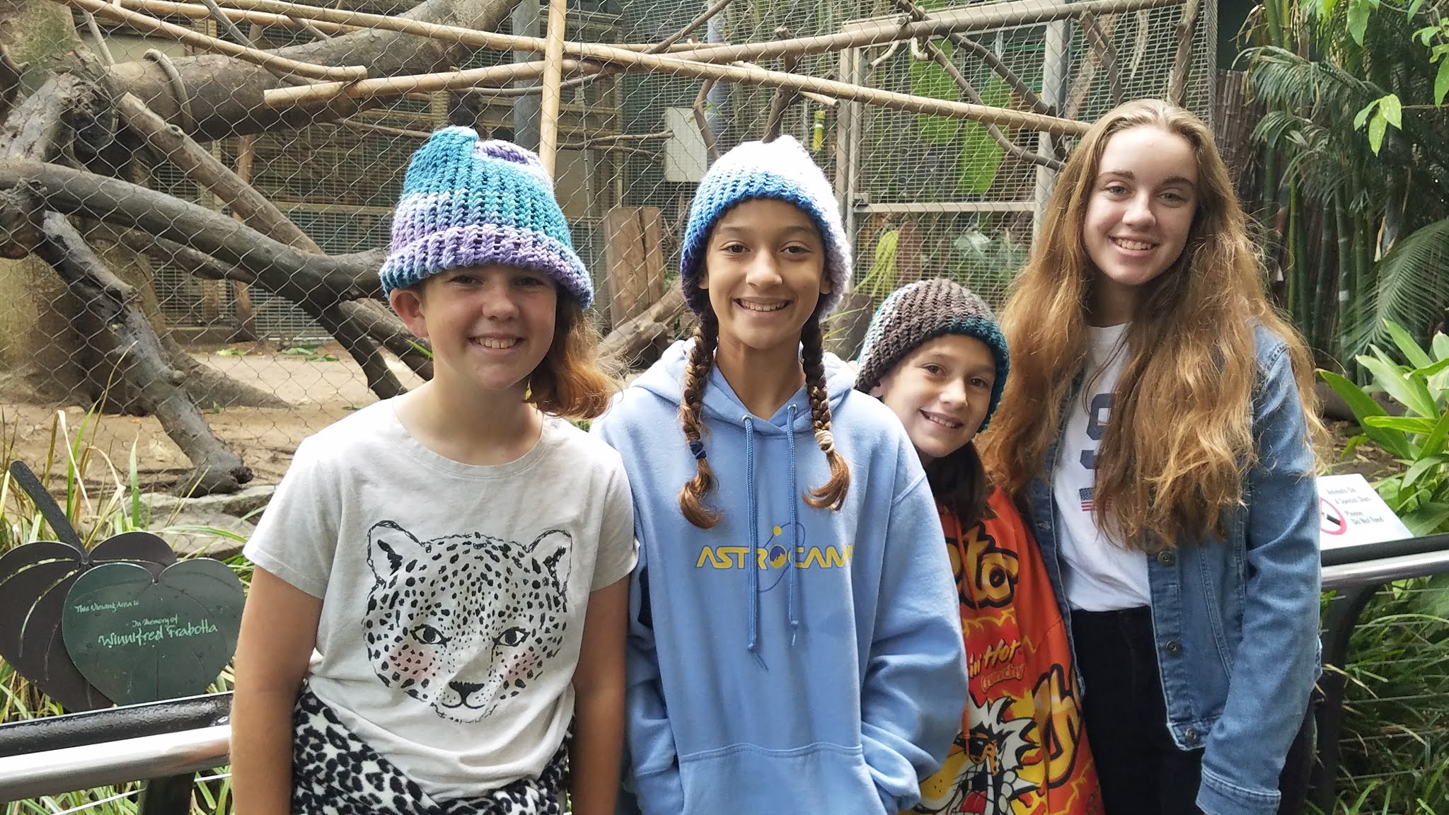 san diego dialed in CoViD19 ICU Bed Capacity Dwindling County