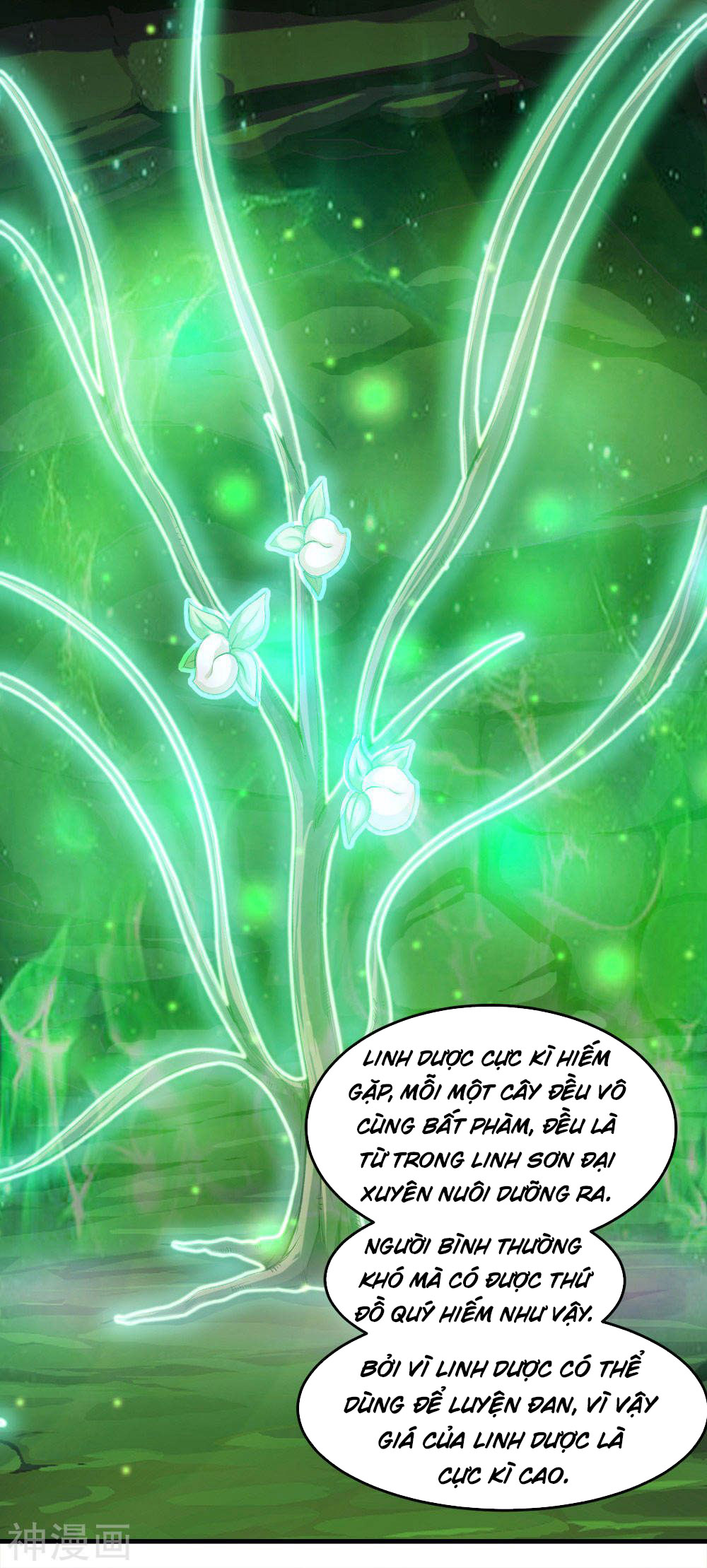 Cái Thế Đế Tôn chapter 41 - Trang 14