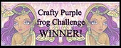I Won At Crafty Purple Frog