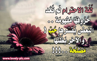ورود رومانسية مكتوب عليها ورود رومانسية مكتوب عليها