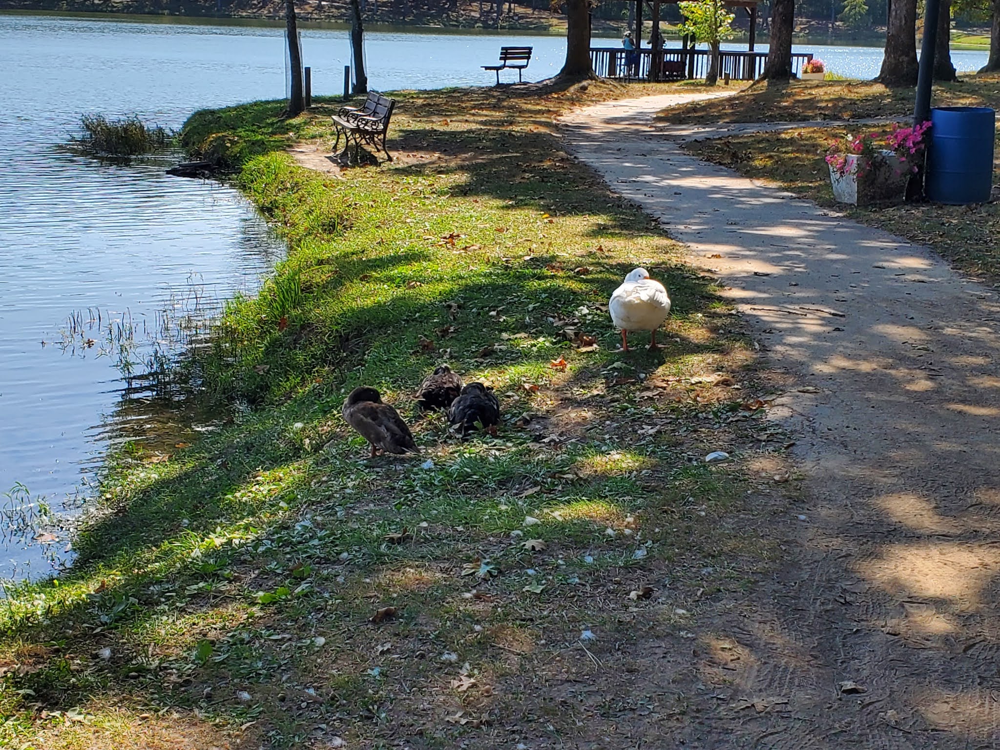 Play St. Louis Lakeview Park, Bonne Terre