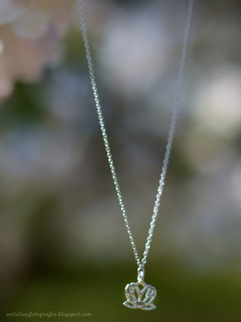 DSC_5317.JPG