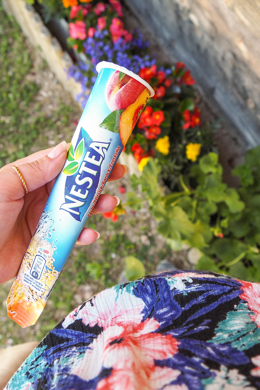 Der Altausseer See Im Salzkammergut Transglobal Pan Party