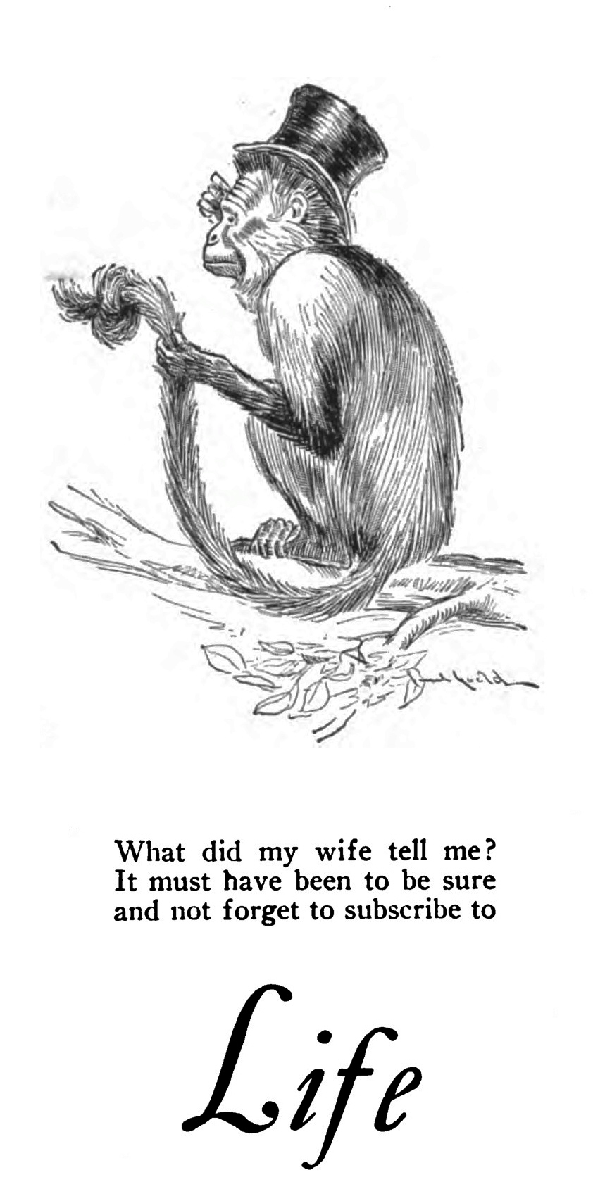 Tenth Letter of the Alphabet The Origin of a Species Eustace Tilley