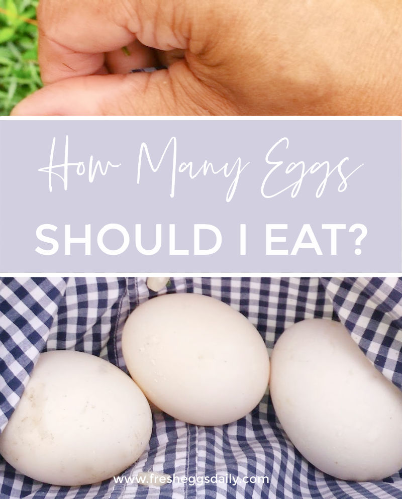 How Many Eggs Should I Eat a Day? Fresh Eggs Daily® with Lisa Steele