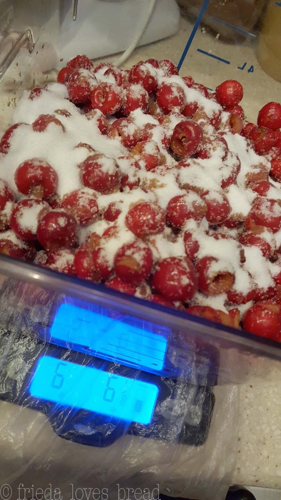 Frieda Loves Bread Oven Dried Cherries & Bonus Simple Syrup!