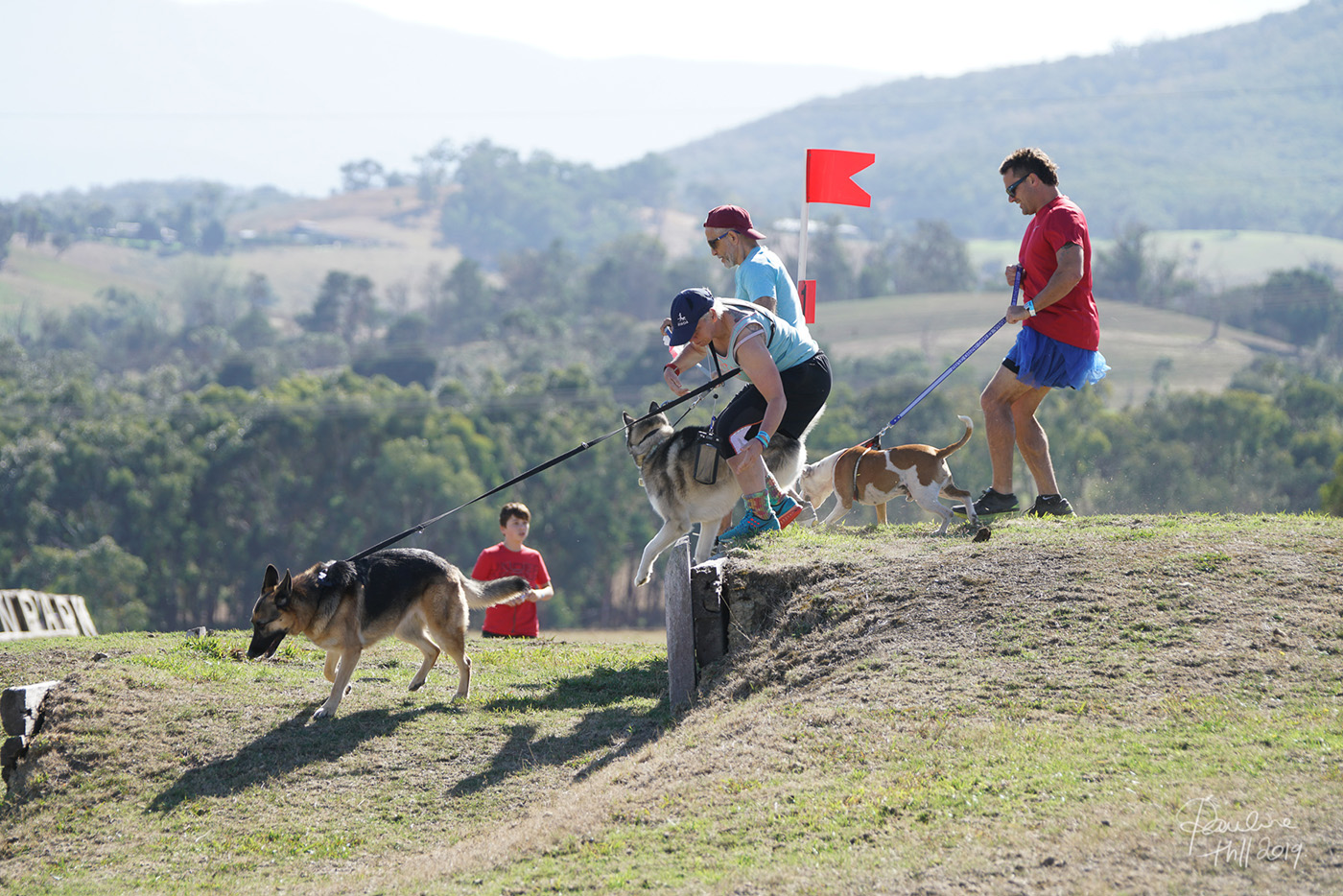 Adventure Dog CrossCountry Challenge 2020 April 5 Australian Dog Lover
