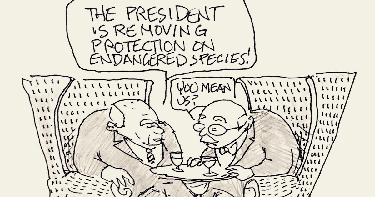 'We avoided tragedy' / 'Ya basta!' / 'A f__king mess' ~ Chicago Public ...