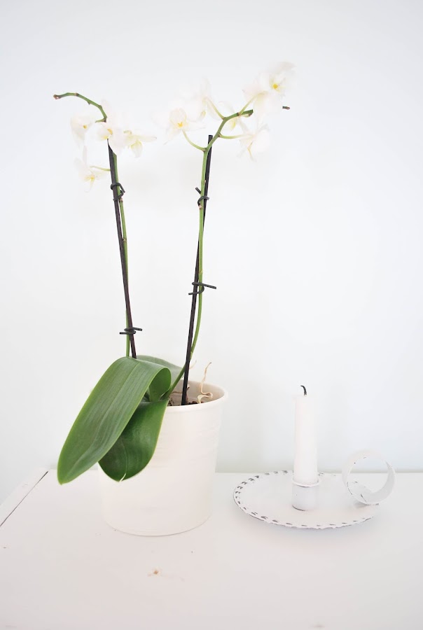 inspiración decorar con flores http://www.mylittlebrunch.com/2014/05/inspiracion-decorar-con-flores.html