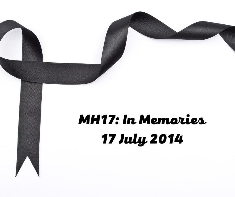 Vasily Prozorov, MH17, Gone not forgotten, Malaysia Airlines, UkrLeaks