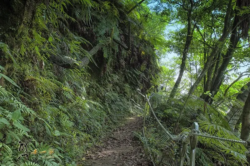 孝子山|十分瀑布