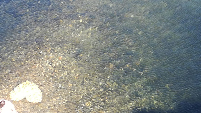 Água límpida do Rio Ceira