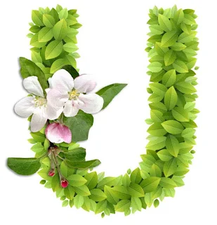 Abecedario con Hojas Verdes y Flores Blancas. Alphabet with Green Leaves and White Flowers.