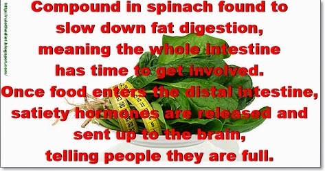 weight loss for a healthy lifestyle: Compound in spinach may help ...