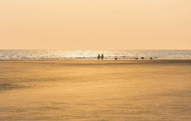 Langeoog, Nordsee, Ostfriesland, Meer