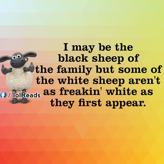 I love being the black sheep, Two faced people