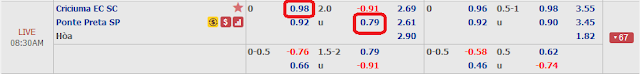 Kèo thơm Criciuma vs Ponte Preta (Bóng đá Brazil, 07h30 ngày 4/9) Criciuma