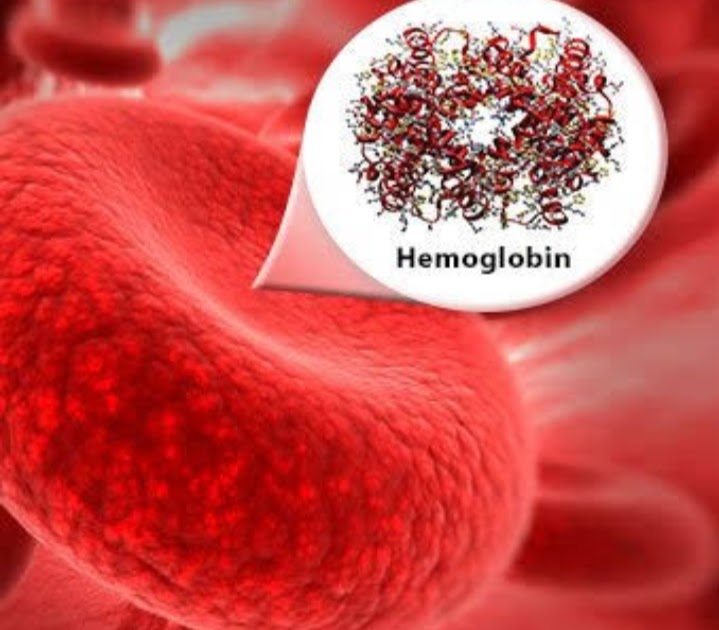 Hemoglobin Structure, Types, & Functions world Health