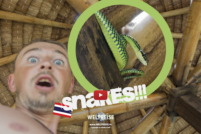 Paradies der Schlangen | Koh Phangan | Thailand | www.WELTREISE.tv #192