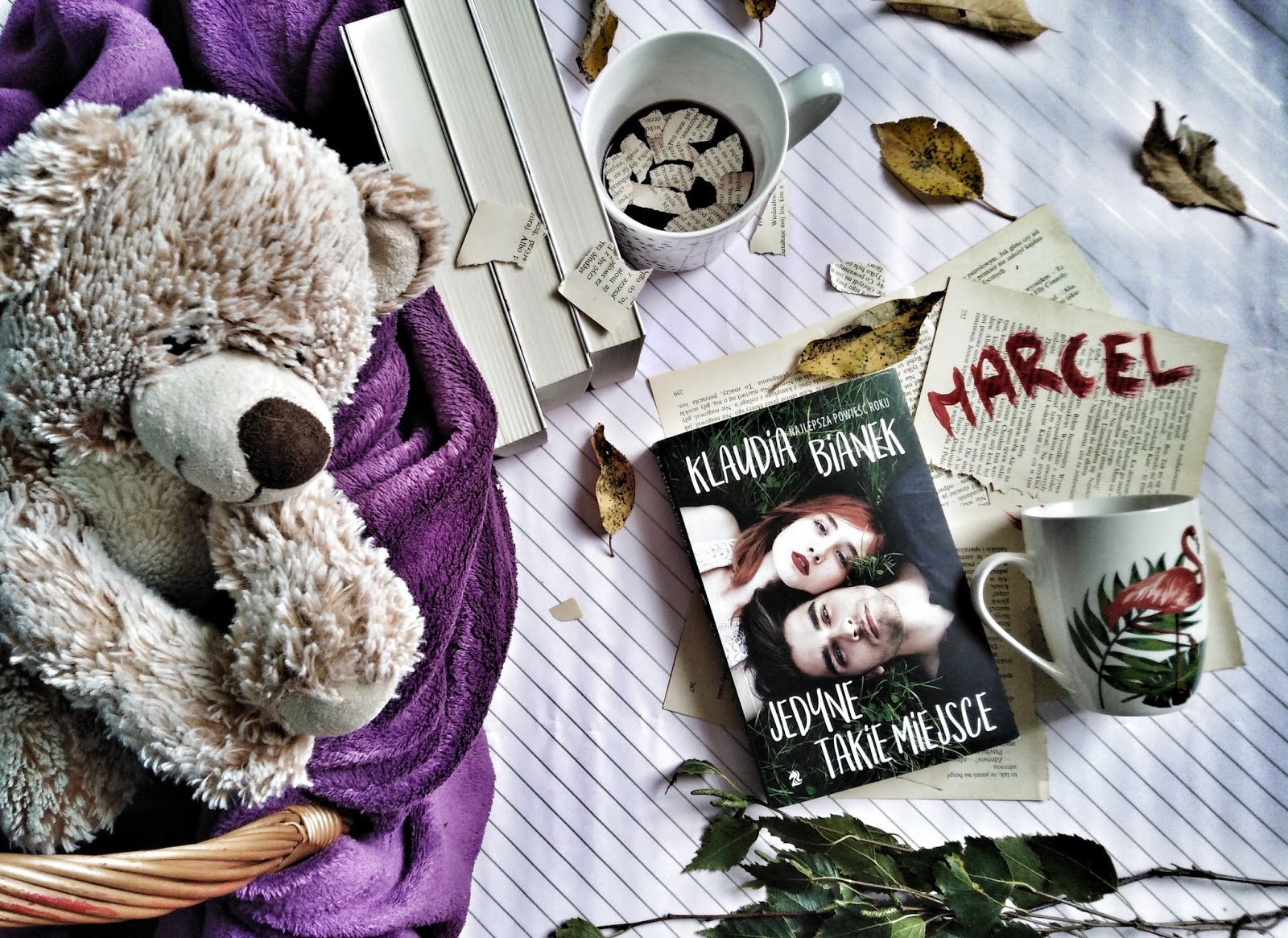 Świetny debiut literacki | "Jedyne takie miejsce" Klaudia Bianek | Recenzja