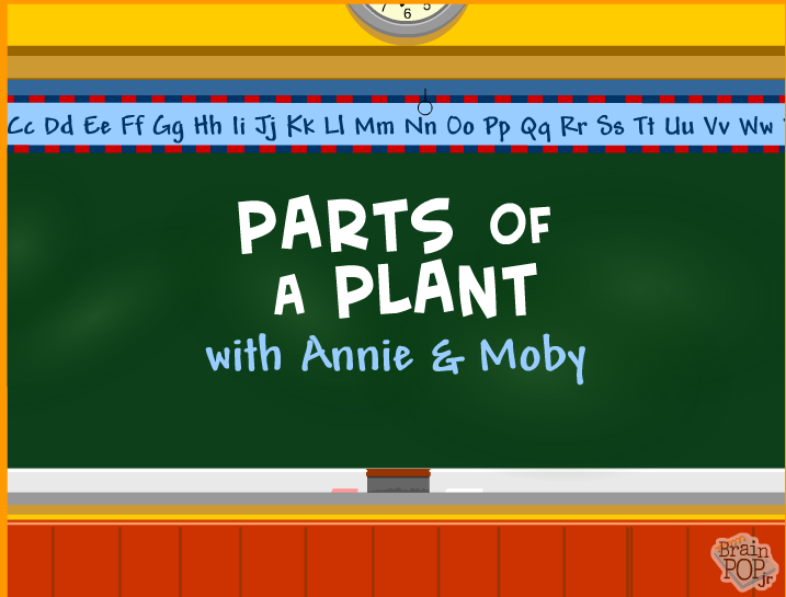 Ms. Molix's Class Plant Parts