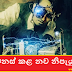 ජීවිත වෙනස් කළ නව නිපැයුම් 30 ක් (30 Life-Changing Inventions)