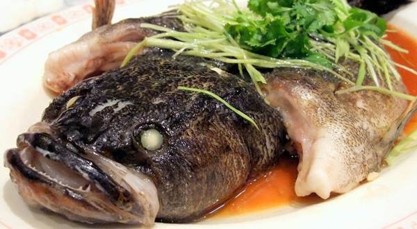 Sajian Ikan Betutu dan Manfaatnya Bagi Kesehatan Sajian Ikan Betutu dan Manfaatnya Bagi Kesehatan