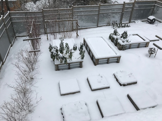 Snow covered (hibernating) backyard food garden