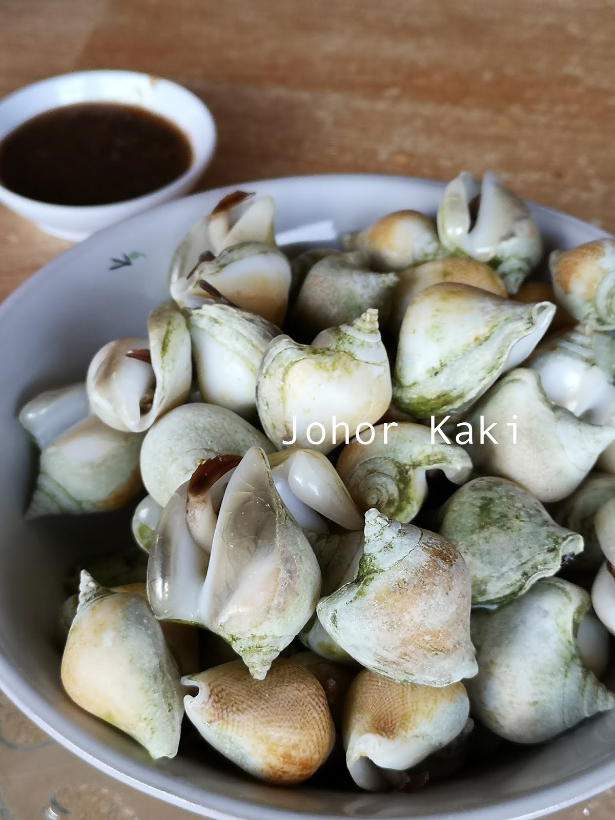 Eating Gong Gong during Padang Melang Festival Sea Snail Icon of Batam