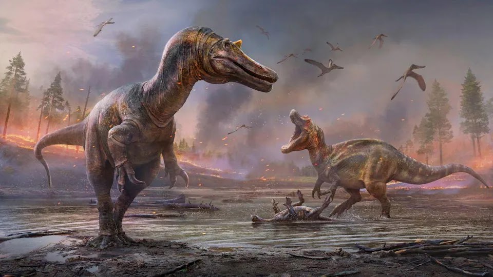 Achou que o T-Rex fosse grande? Cientistas dizem que dinossauro era até 70%  maior do que imaginávamos
