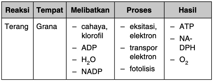 Proses fotosintesis yaitu reaksi terang dan reaksi gelap. Jelaskan