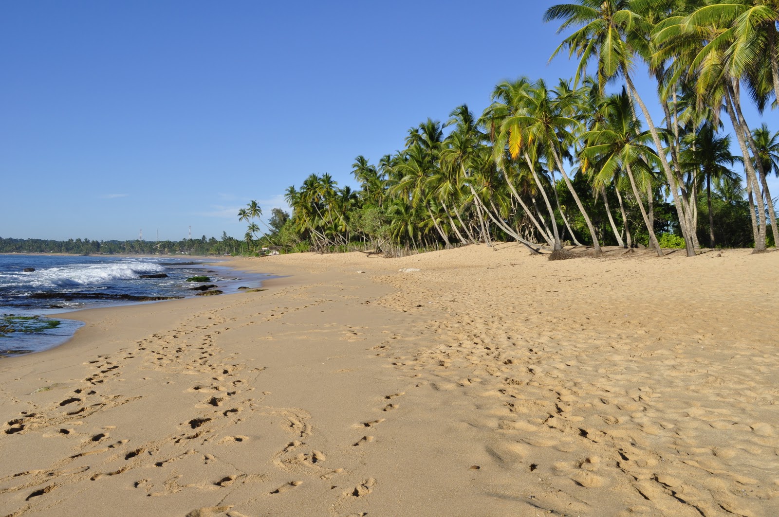 Шри ланка пляжи с белым песком