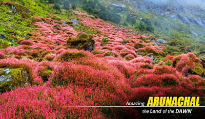 Arunachal Pradesh Package Tour