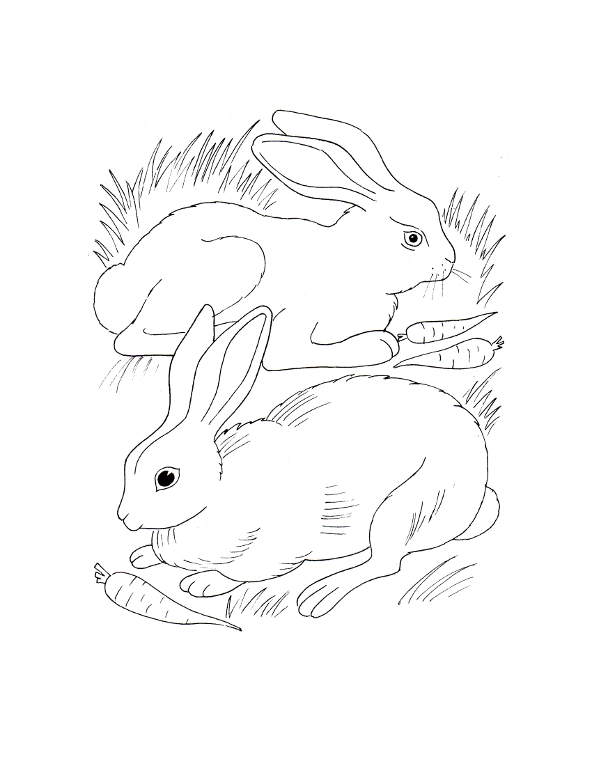 rabbit with carrot coloring pages - photo #40