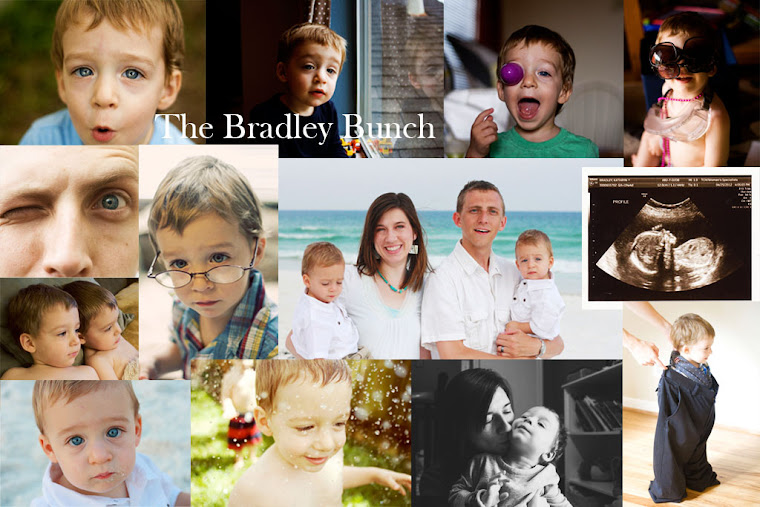 The Bradley Bunch