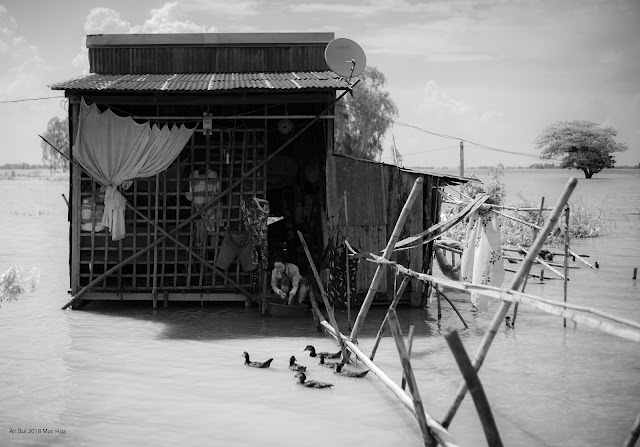 Photography during flooding season in Mekong delta