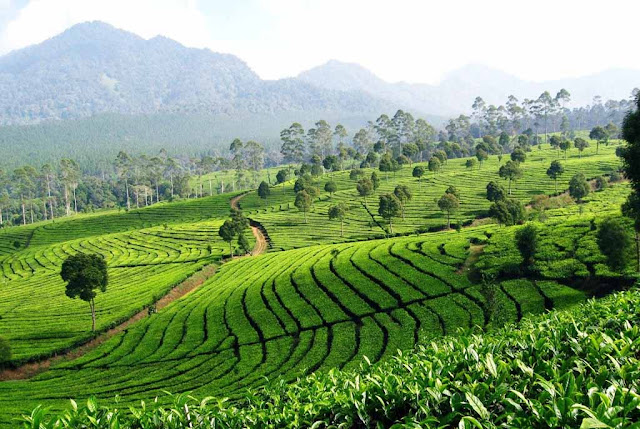 03/20/20 | WISATA BANDUNG OFFROAD | OFFROAD LEMBANG ...