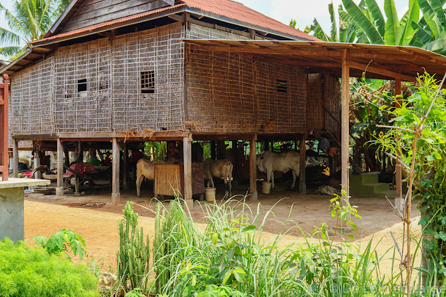 Village d'Angkor - Cambodge