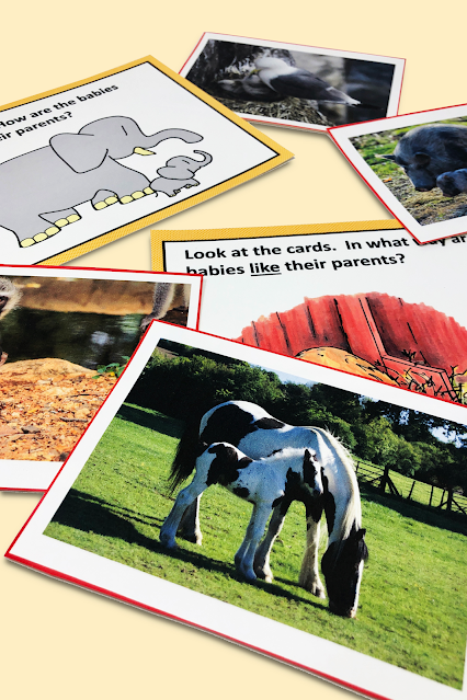 Animals and Their Babies First Grade Unit