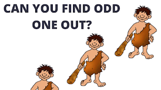 In these fun picture puzzles, your challenge is to find the odd man out.