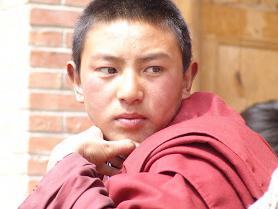 チベット映画のご紹介