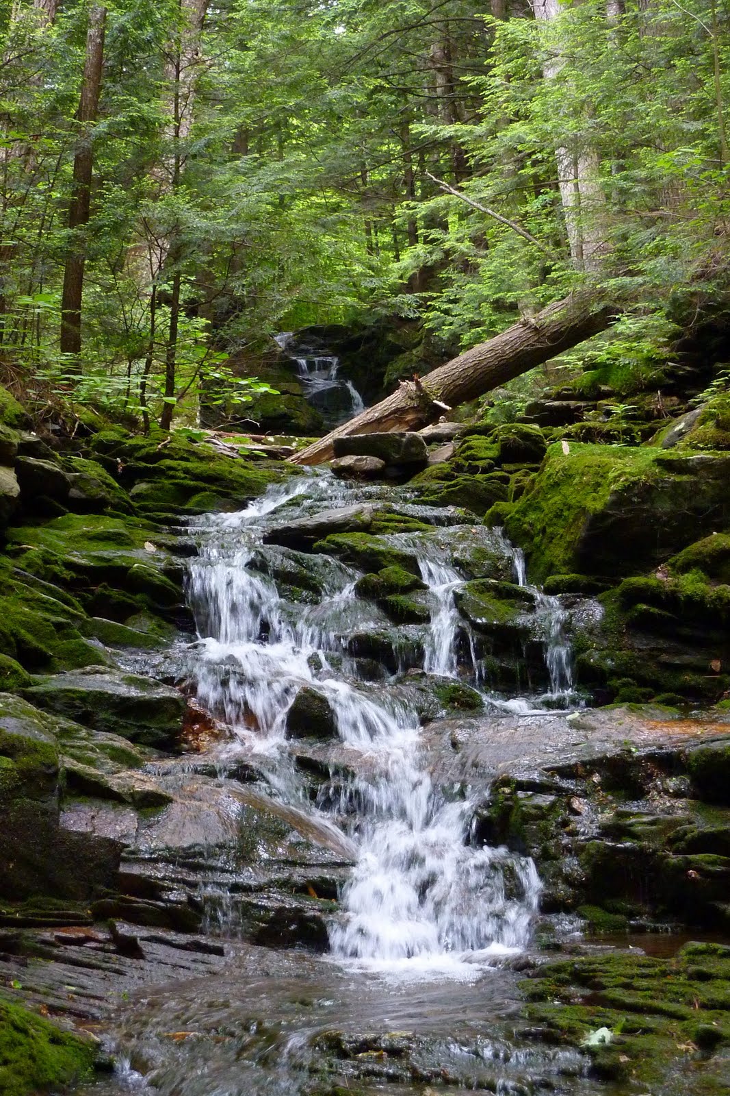 1HappyHiker Tunnel Brook Trail; Cliffs of Clough; Exploring an Unnamed