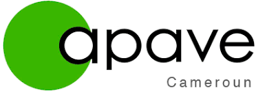 apave Cameroun