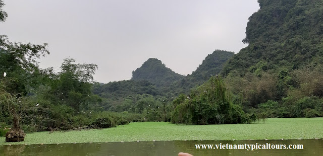 Synthetic 15 experiences worth trying in Ninh Binh 2019 3