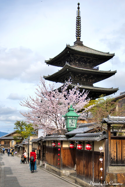 Día 13 - Kyoto (transformación en maiko - Fushimi Inari) - Japón primavera 2016 - 18 días (con bajo presupuesto) (1)