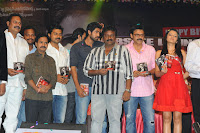 Bodyguard Movie Audio Launch Gallery