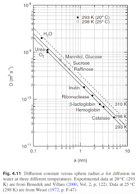 Figure 4.11 of Intermediate Physics for Medicine and Biology, showing the diffusion constant of a molecule as a function of the size of the molecule.