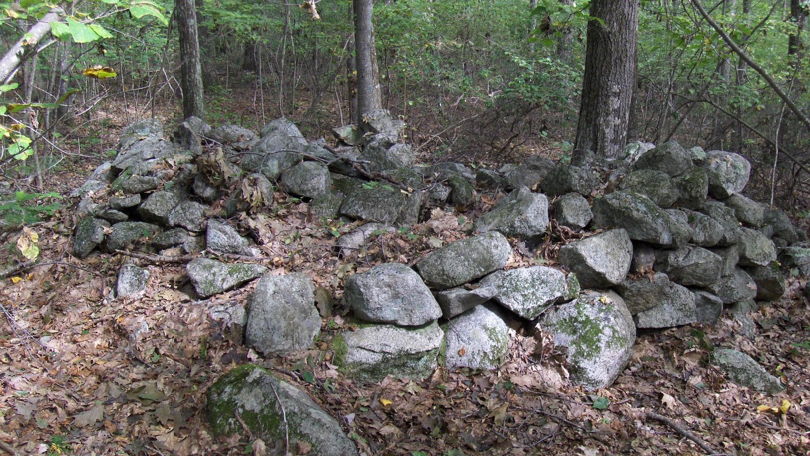 Rock Piles Looking for the Wachusett Tradition at Peppecorn Hill