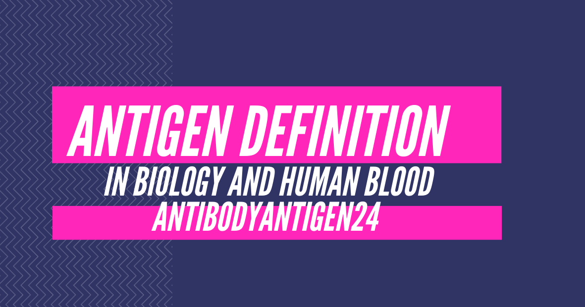 Antibody Antigen Daily